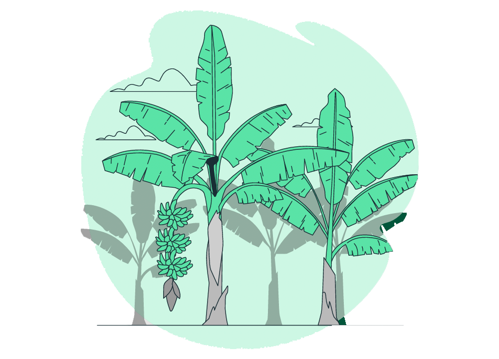 Ilustración de palmas 