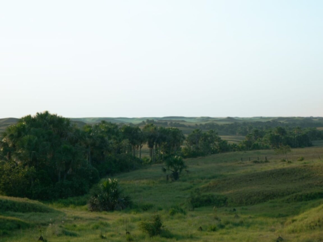 Paisaje natural con vegetación llamado Los Cachorros en Puerto Gaitán